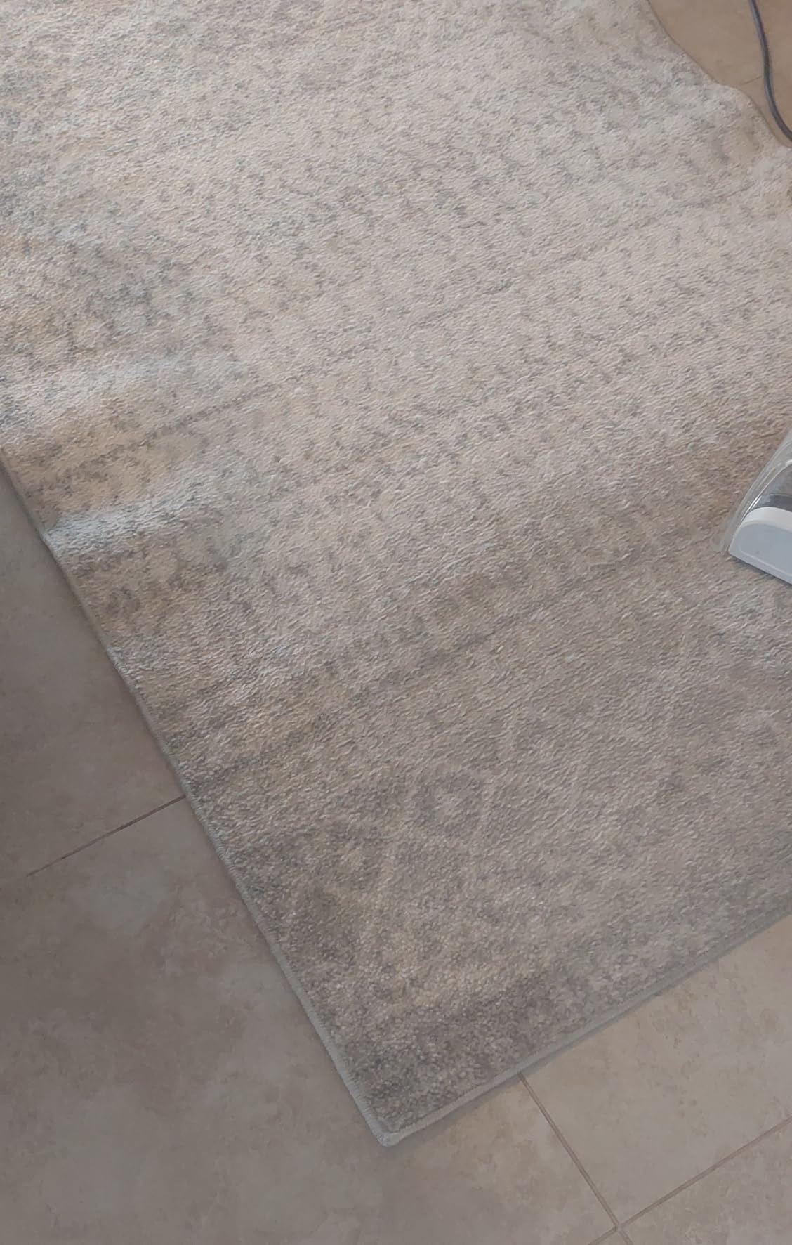Hoover PowerDash Pet Compact Carpet Cleaner Machine, Lightweight Design customer photo 1