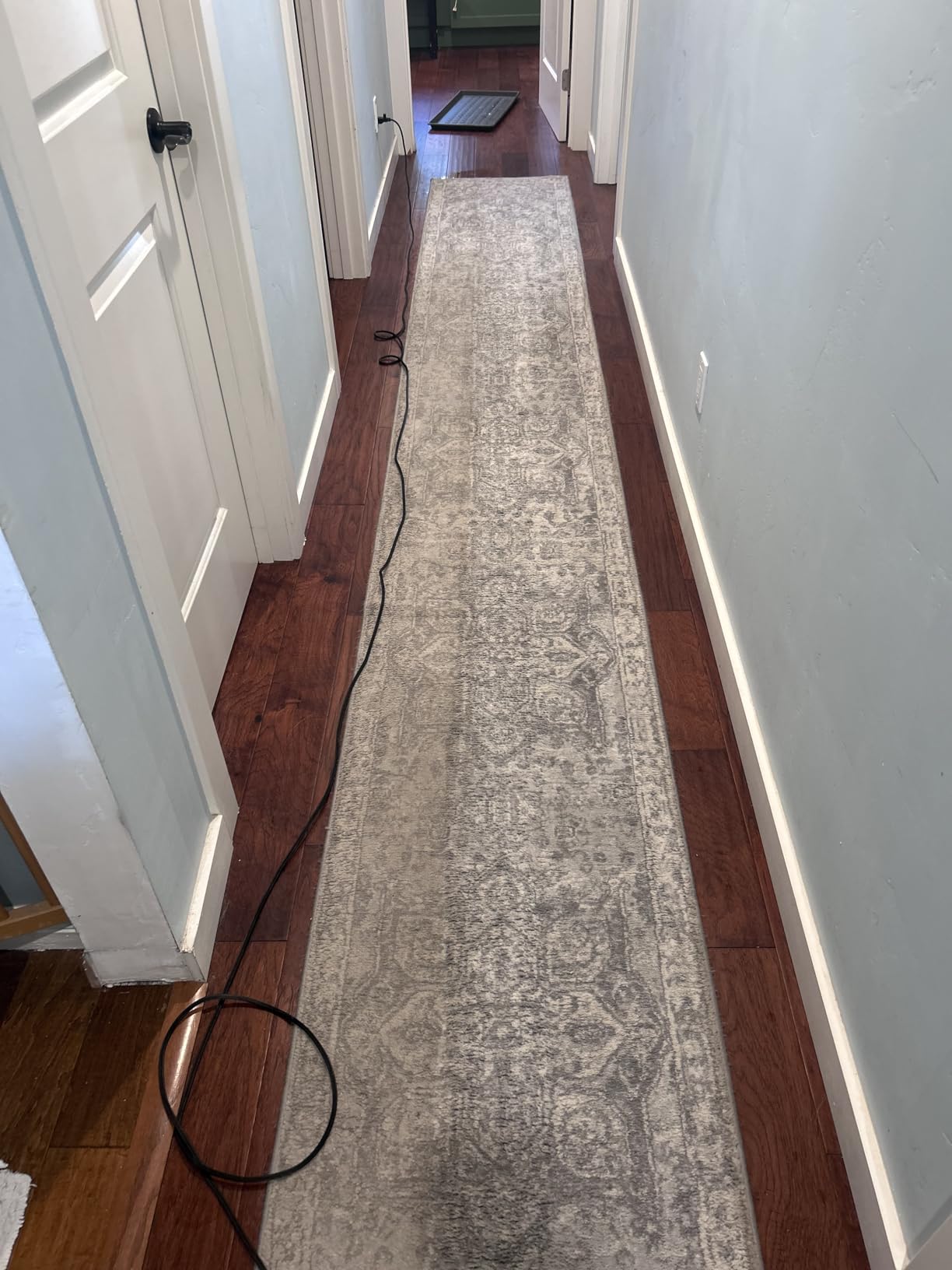 Hoover PowerDash Pet Compact Carpet Cleaner Machine, Lightweight Design customer photo 2