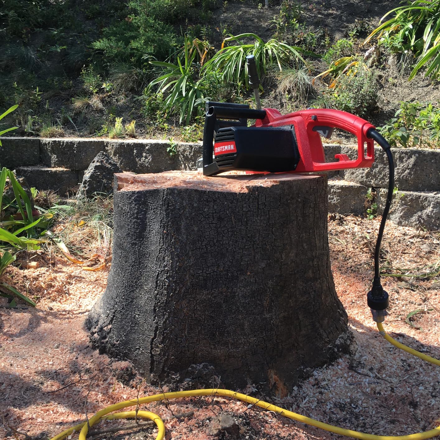 CRAFTSMAN Electric Chainsaw, 16 Inch, 12 Amp Corded Chain Saw Electric, Ergonomic, Powerful Motor (CMECS600) customer photo 2