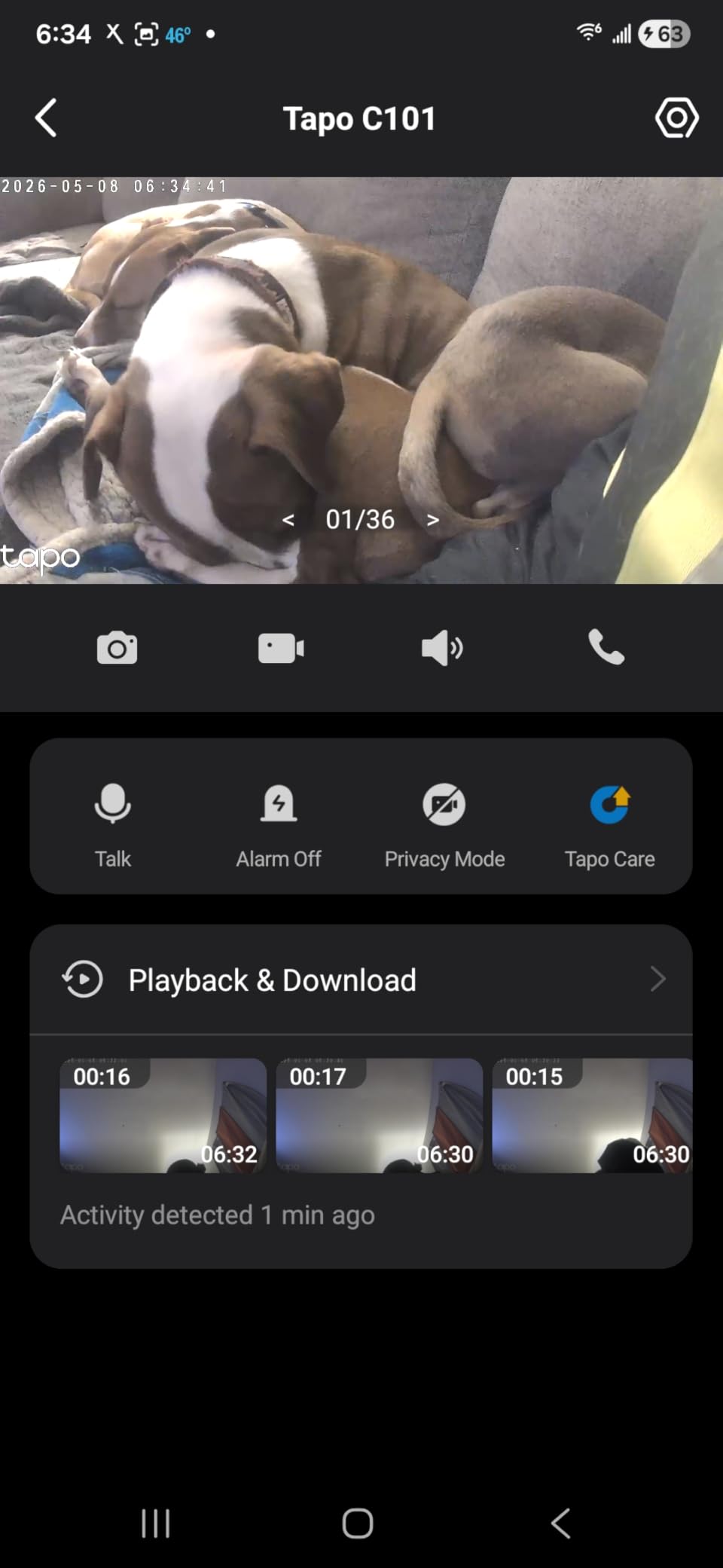 Tapo 1080P Indoor Security Camera, Baby Monitor, Dog Camera, Wired, C100 customer photo 2