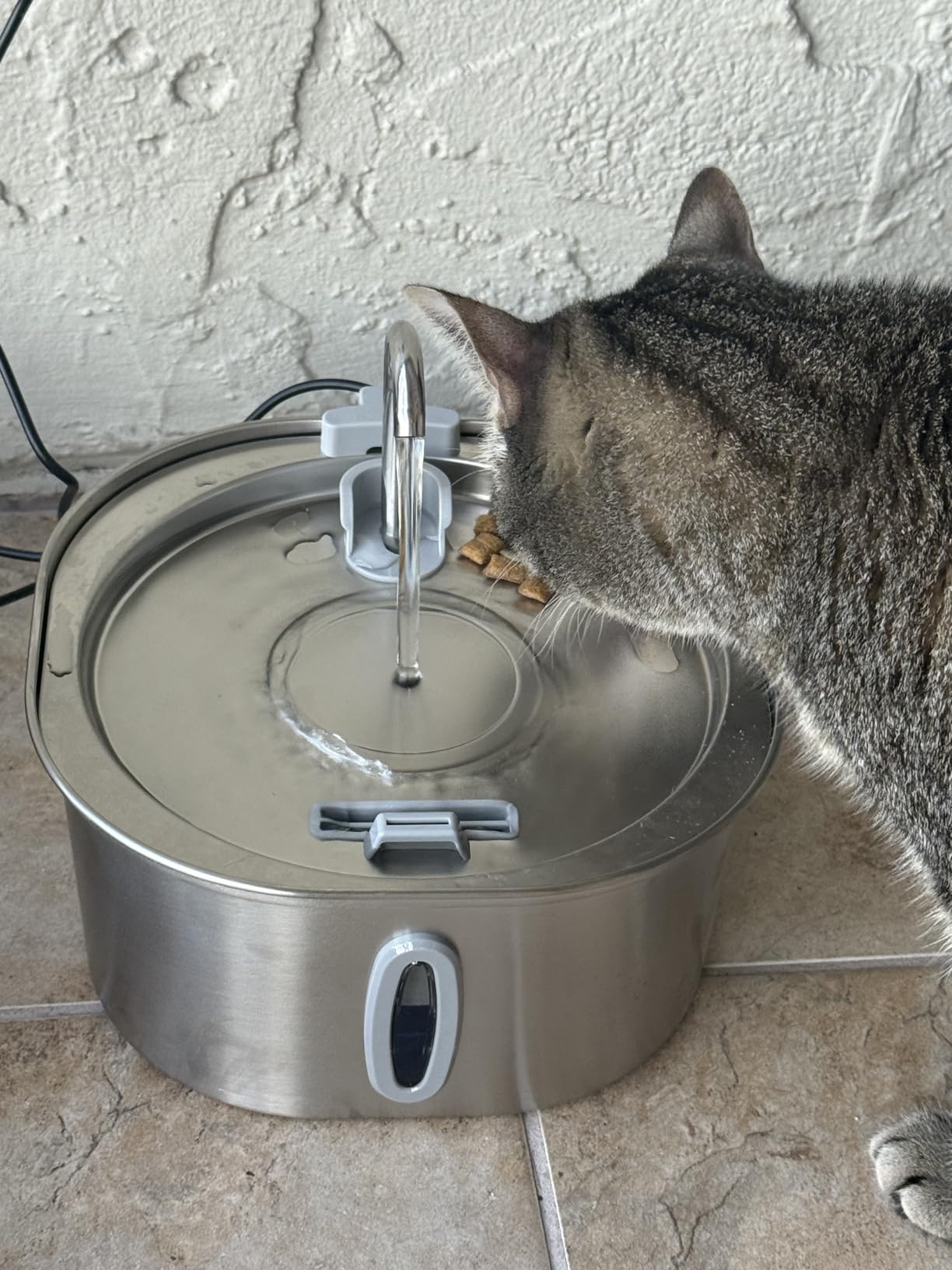 PEKTACO Cat Water Fountain, 3.2L/108oz Stainless Steel Pet Water Fountain customer photo 2