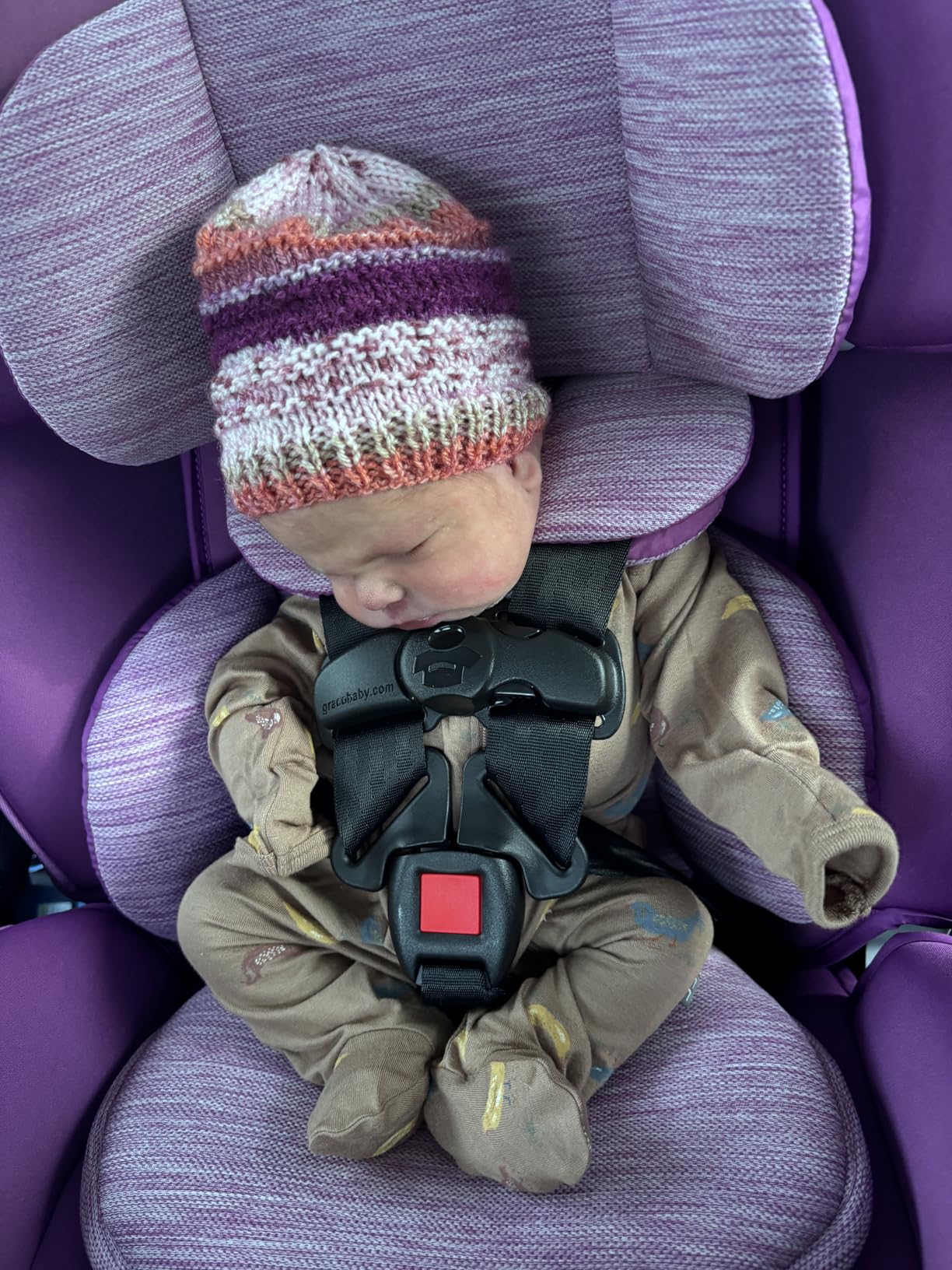 Graco SlimFit 3-in-1 customer photo 2