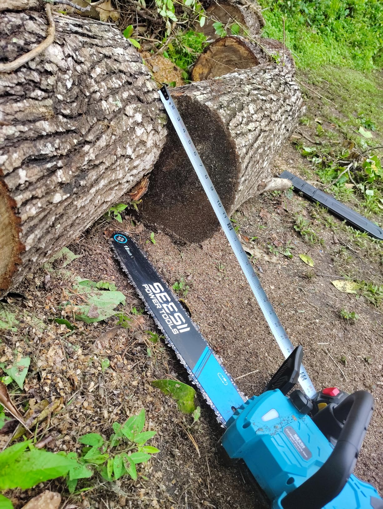 SEESII 40V 16-Inch Cordless Electric Chainsaw,2000W Brushless Chain Saw customer photo 1