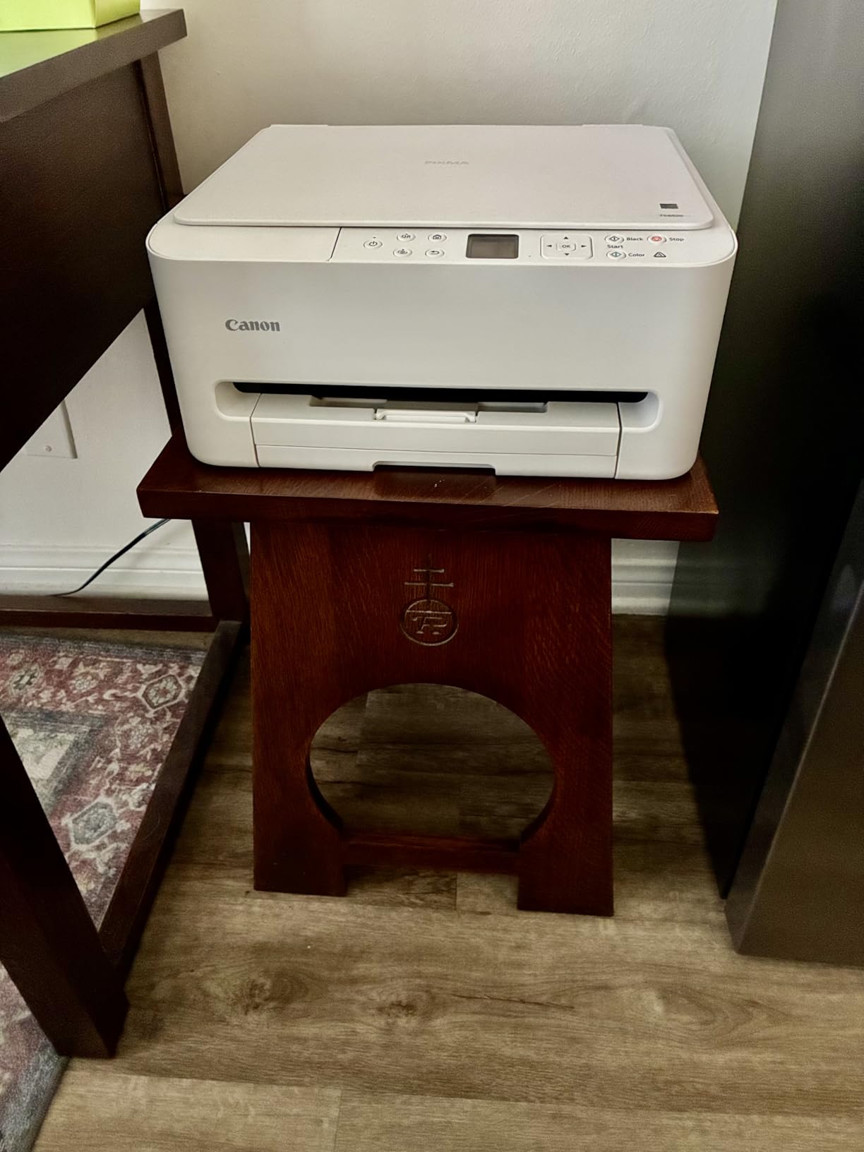 Canon PIXMA TS6520 customer photo 1