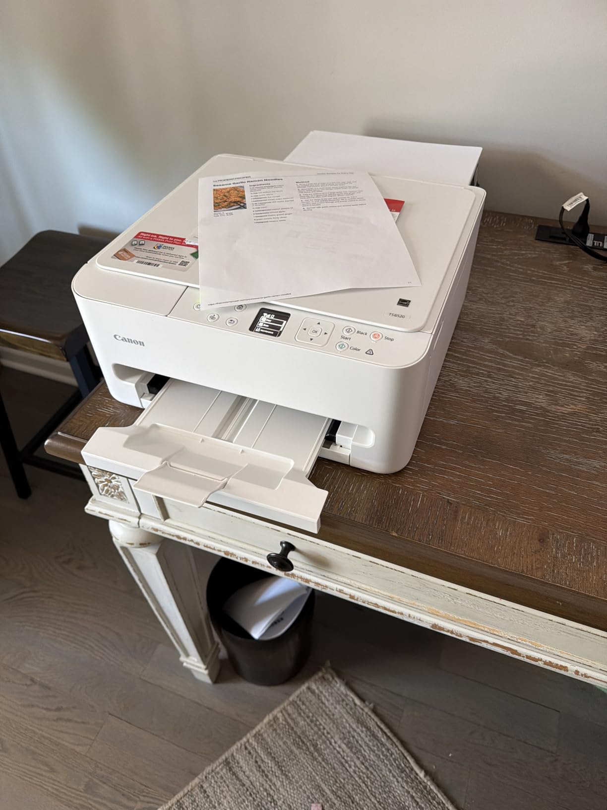Canon PIXMA TS6520 customer photo 2