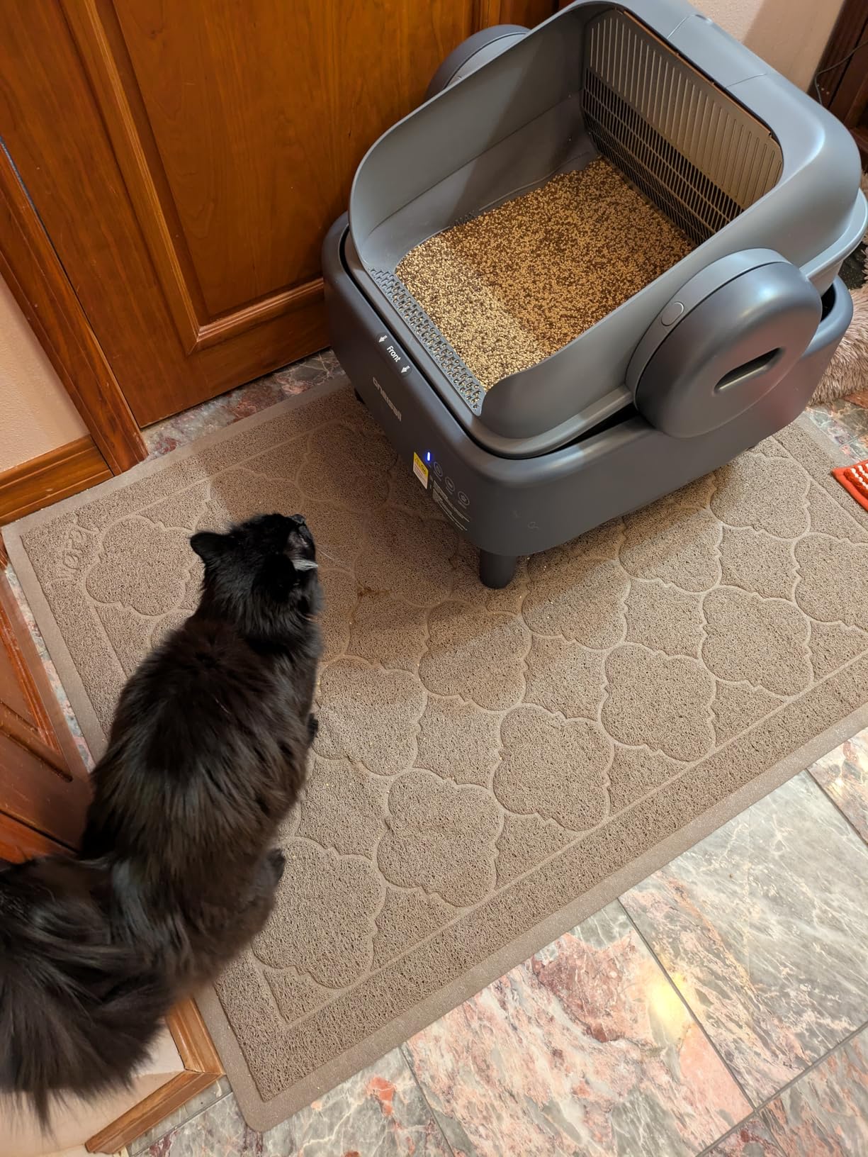 oneisall Self Cleaning Litter Box for Large&Multiple Cats: Ease S1 Open-Top Cat Litter Box Easy Rinsable Clean, with Safety Protection & Large Capacity for Indoor House Cats(40pcs Waste Bags Included) customer photo 2