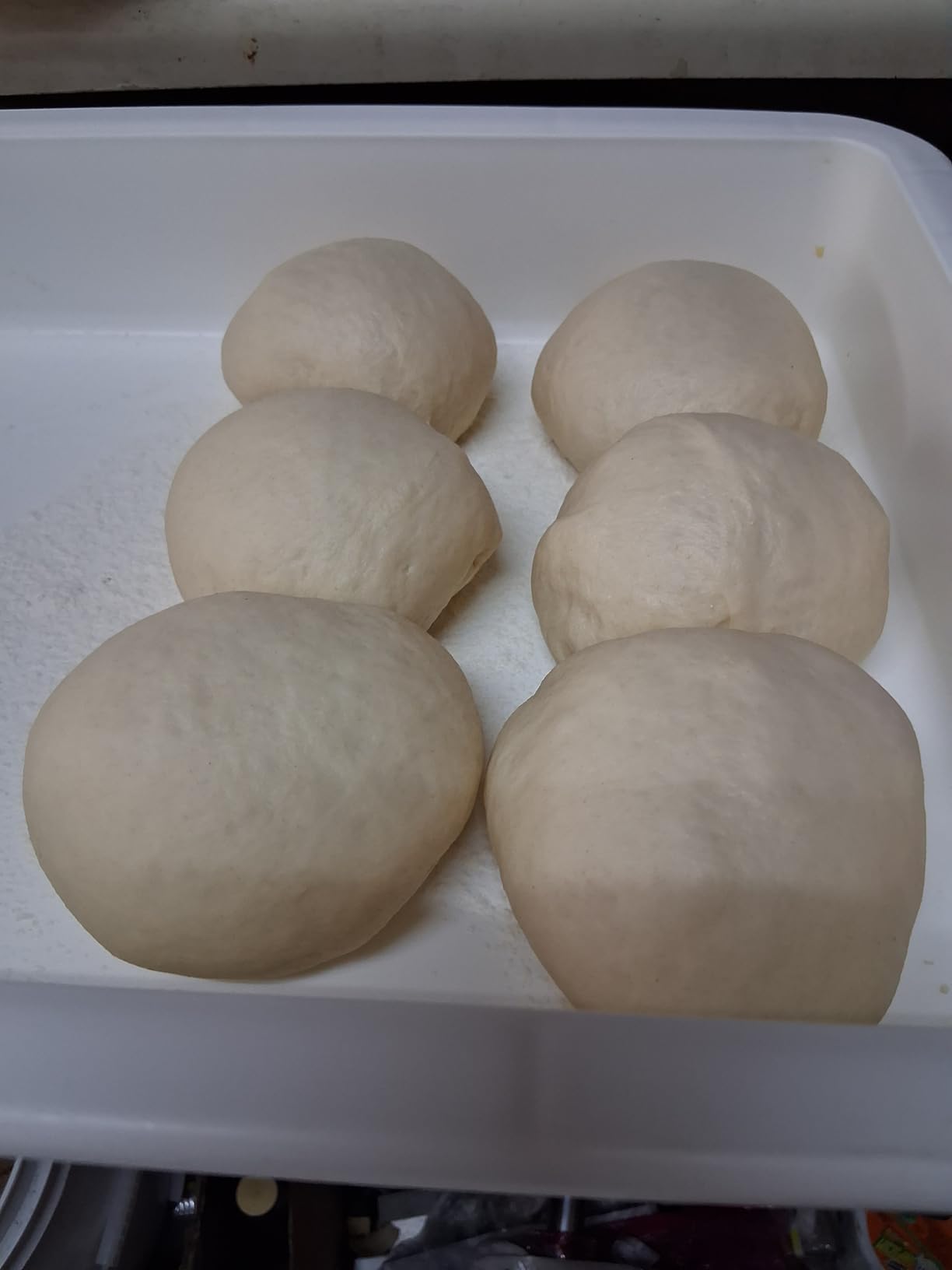 DoughMate Pizza Dough Proofing Box & Tray Kit | 2 Stackable Pizza Dough Trays, Lid & Dough Scraper - NSF Certified, Made in USA customer photo 1