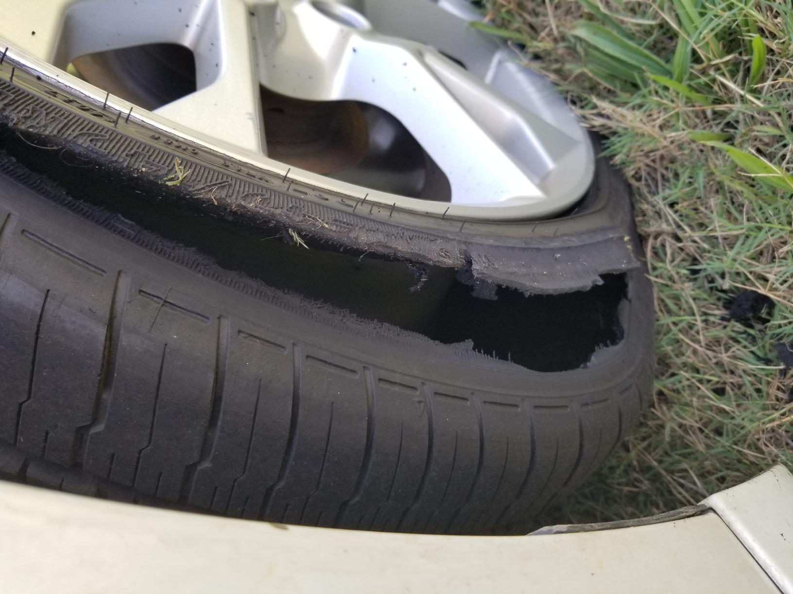 Goodyear Eagle RS-A Radial Tire - 245/45R18 96VR customer photo 1