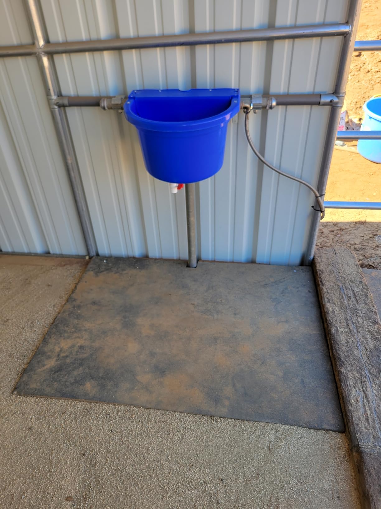 Little Giant DuraMate Float Controlled Automatic Waterer for Livestock, Heavy Duty and Durable, Made in USA, 4 Gallon customer photo 2
