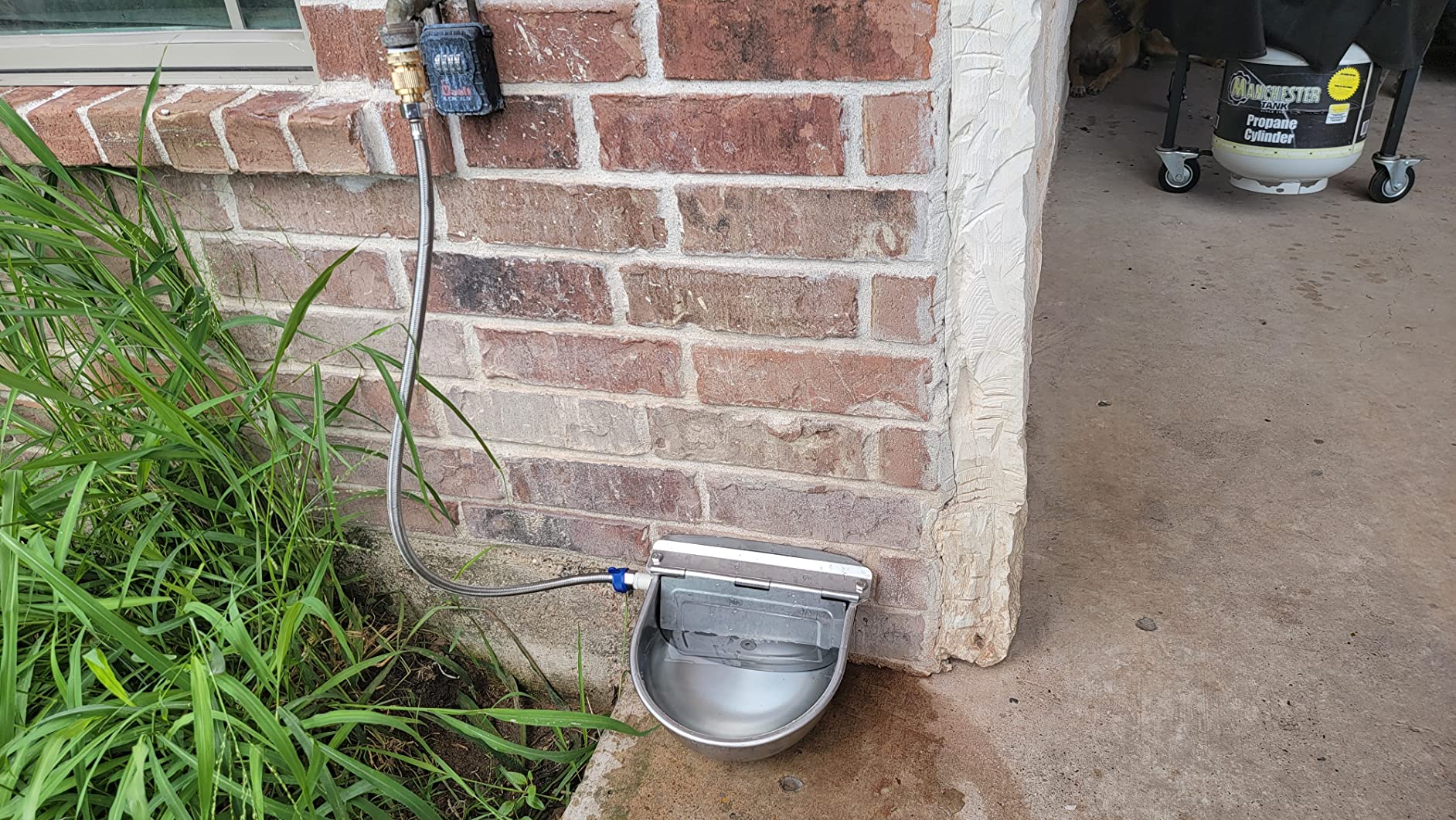 Automatic Cattle Waterer Stainless Steel Dog Water Bowl Outdoor & Indoor | Adjustable water level, Hanging With Garden Hose quick connect Mounting Screw, for sheep, ducks, pigs, horses, cows, chicken customer photo 1