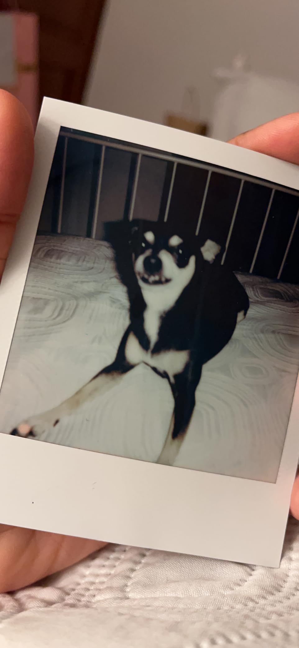 Polaroid Originals Now I-Type Instant Camera - Black (9028) customer photo 1