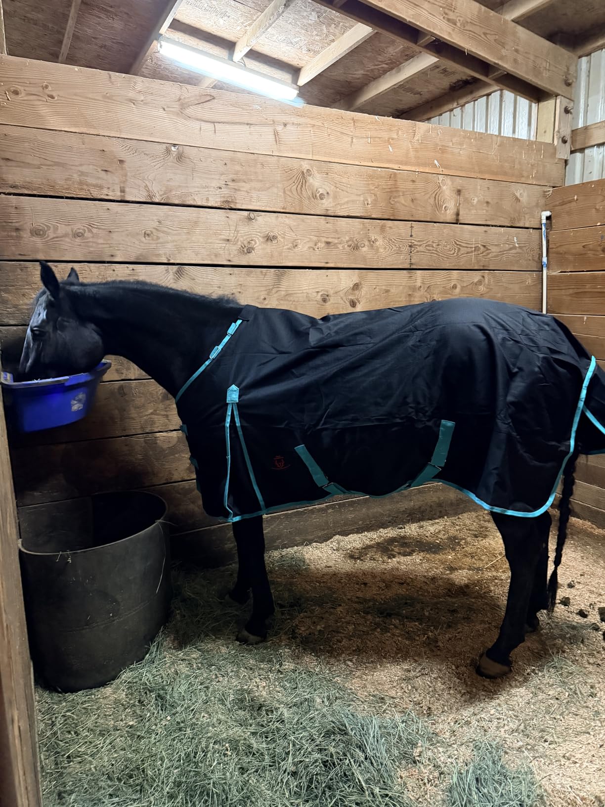 1200 Denier Horse RAIN Sheet (Waterproof/Breathable & Wind Proof Turnout Sheet) customer photo 2