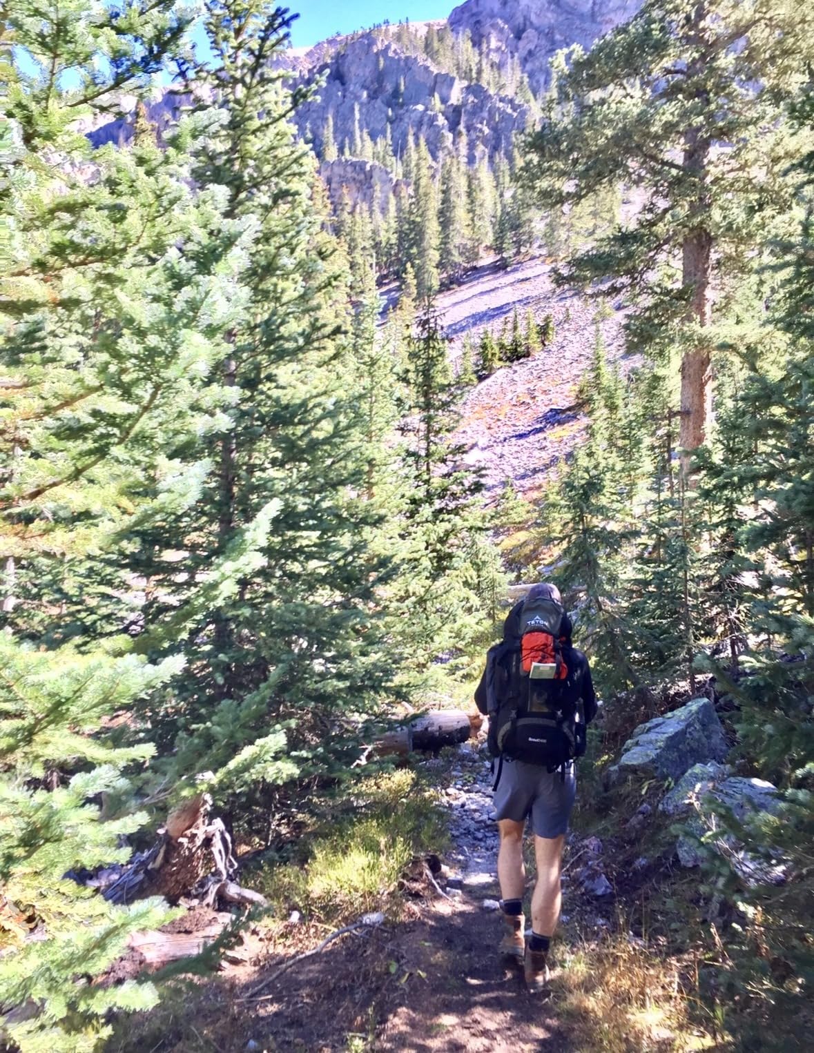 Teton 65L Scout Internal Frame Backpack for Hiking, Camping, Backpacking, Travel, Rain Cover Included, Pacific customer photo 1