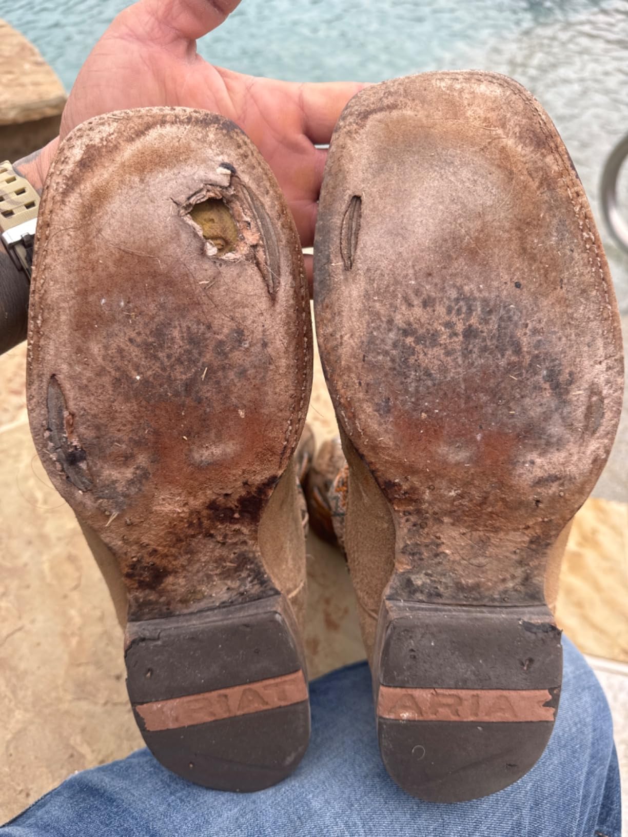 ARIAT Sting Western Boots customer photo 2