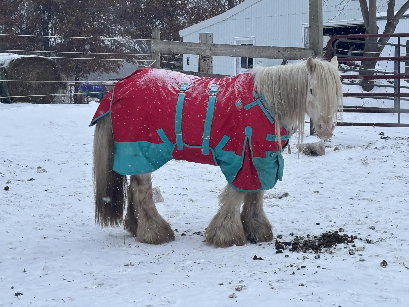 Black Aztec 72 in HILASON 1200D Winter Waterproof Poly Horse Turnout Blanket Belly Wrap customer photo 1