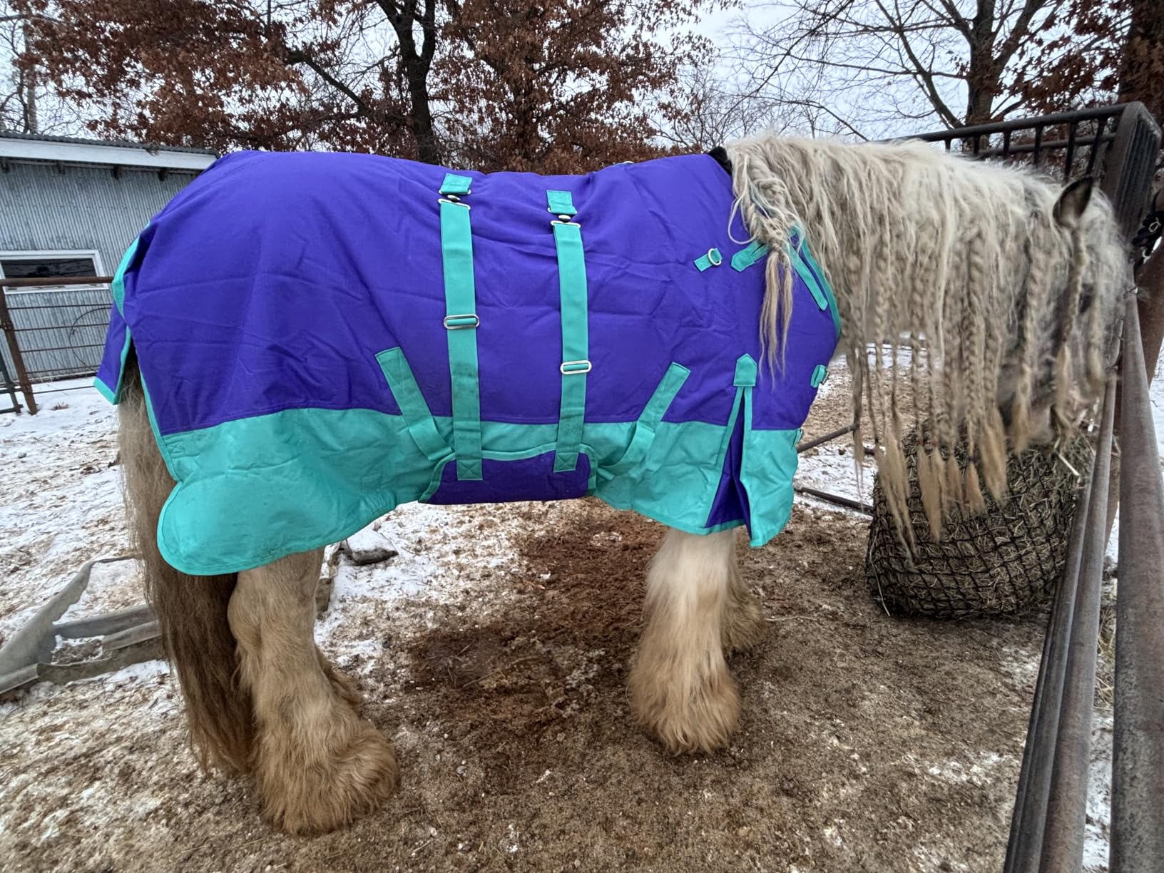 Black Aztec 72 in HILASON 1200D Winter Waterproof Poly Horse Turnout Blanket Belly Wrap customer photo 2