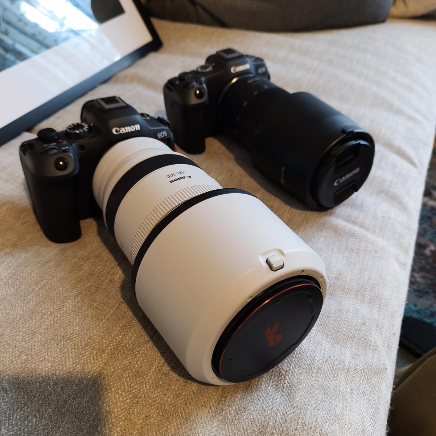 Canon EOS R8 Mirrorless Camera Body, Full-Frame CMOS Sensor, 24.2 Megapixels, 4K 60p Video, Dual Pixel Autofocus II customer photo 1