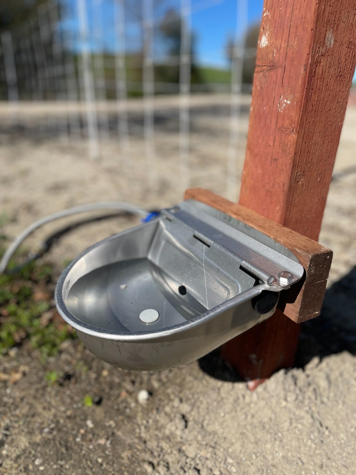 2-Pack Automatic Livestock Waterer, 304 Stainless Steel Auto Fill Drinking Bowl with Float Valve, Drainage Hole & Protective Baffle, Wall Mount or Floor Stand, for Dogs, Chickens, Horses, Goats, Pigs customer photo 2