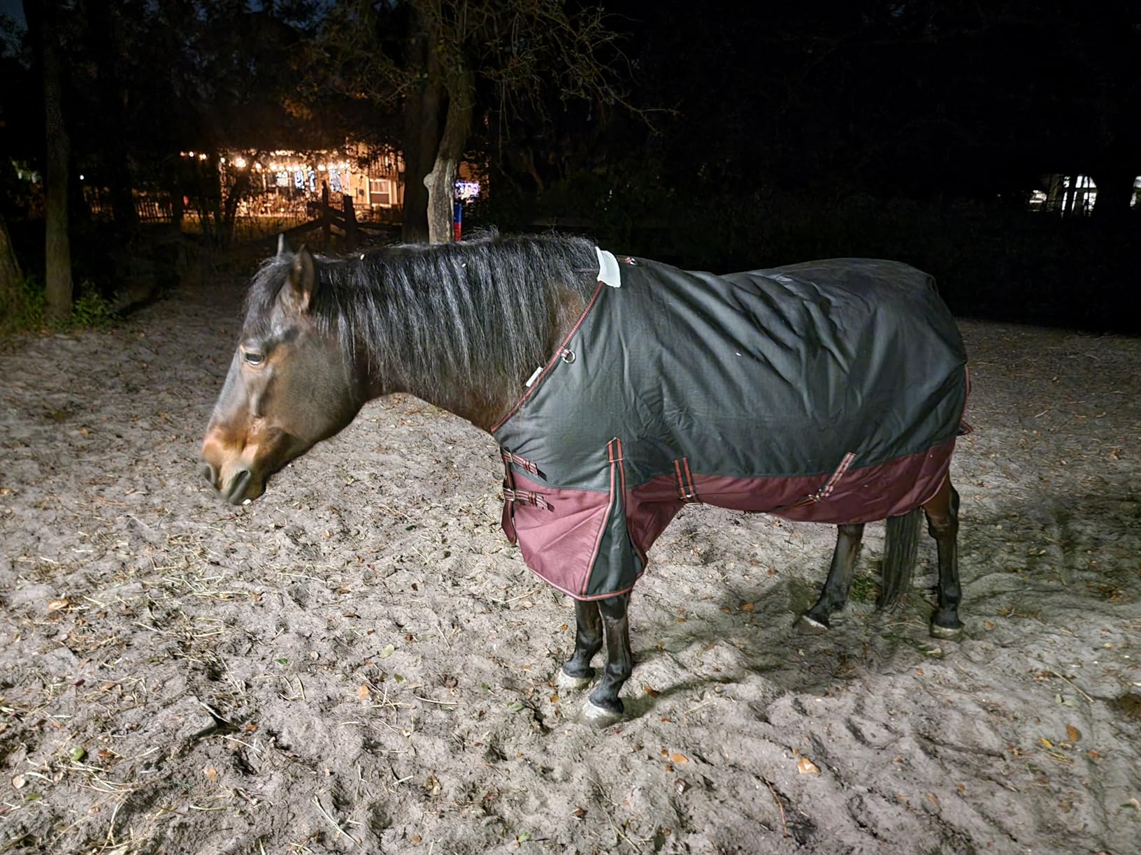 LEAFOREST 1200D Horse Blanket Waterproof Breathable Turnout (no Filling) Standard Neck Horse Sheet Blue Black 78IN customer photo 1