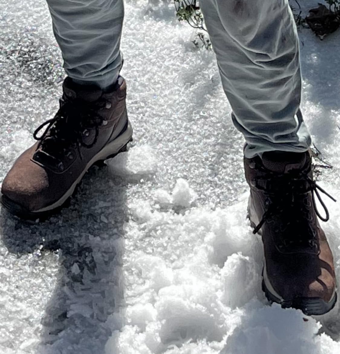Columbia Newton Ridge Plus II Suede Waterproof Hiking Boot customer photo 2