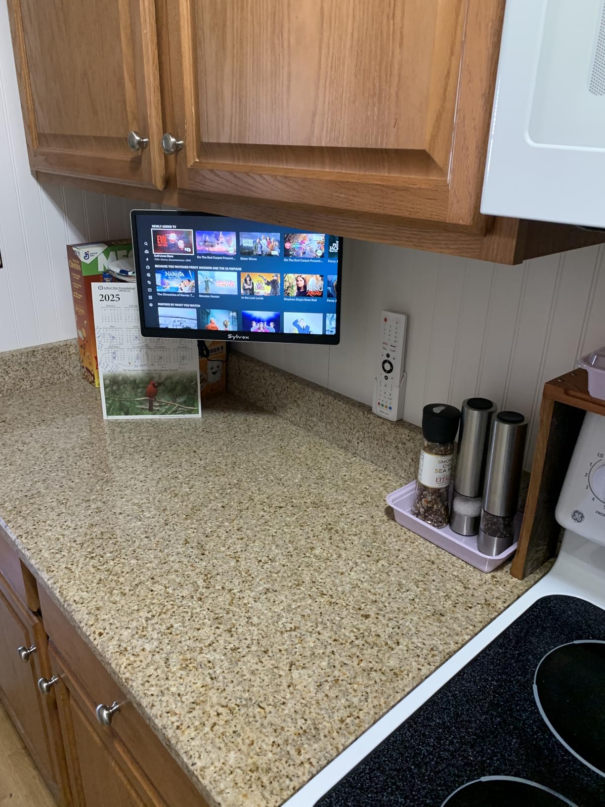 SYLVOX Kitchen TV, Small Smart TV for Kitchen, 15.6 inch 1080P Full HD Under Cabinet TVs, Google Television with Voice Remote Control WiFi Bluetooth Chromecast 2 Speakers, Compact & Foldable, Gray customer photo 1