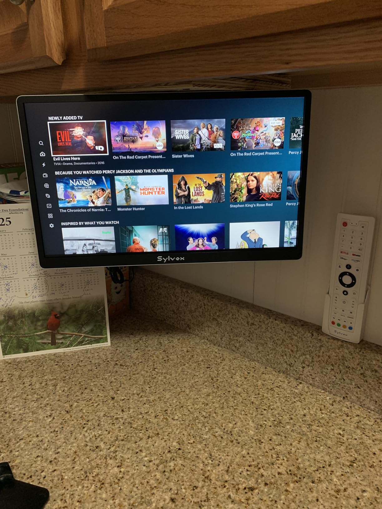 SYLVOX Kitchen TV, Small Smart TV for Kitchen, 15.6 inch 1080P Full HD Under Cabinet TVs, Google Television with Voice Remote Control WiFi Bluetooth Chromecast 2 Speakers, Compact & Foldable, Gray customer photo 2