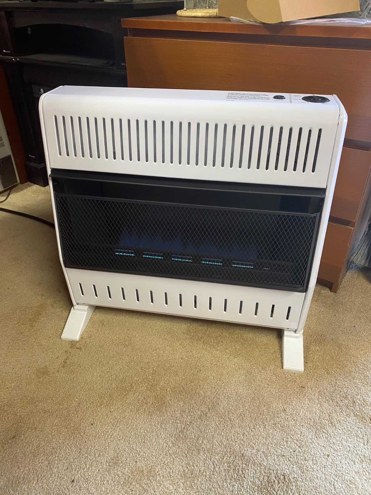 ProCom Heating Liquid Propane Ventless Blue Flame Heater With Base Feet - 30,000 BTU customer photo 1
