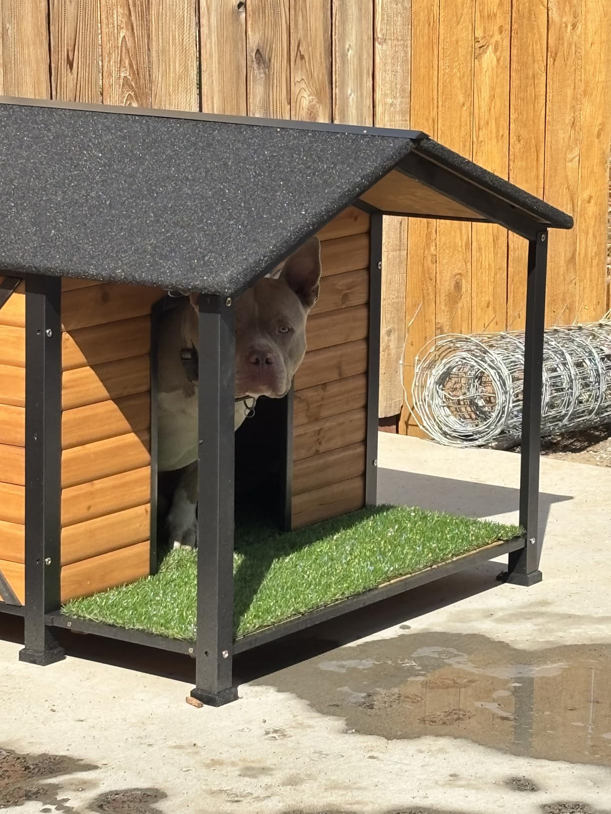 Dog House Outdoor Heated Dog Kennel with Insulation Liner for Winter Waterproof Dog Cage for Small & Medium & Large Dogs, Unique All-Around Iron Frame customer photo 1