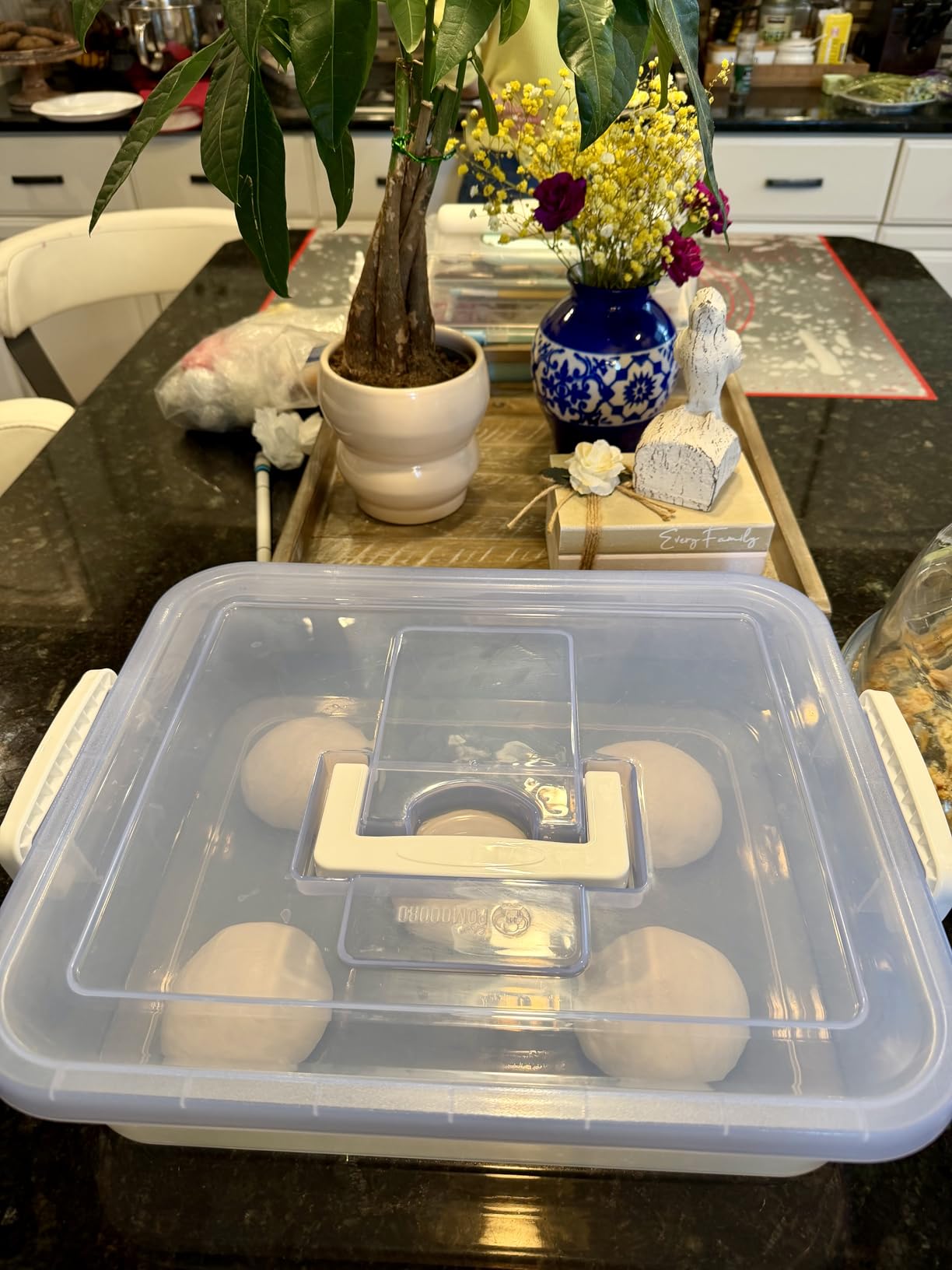 Chef Pomodoro Dough Proofing Box 14x11-In, 4-6 Proofing Balls, Blue 2-Pack | Household Pizza and Bread Dough Preparation Container With Lid customer photo 1