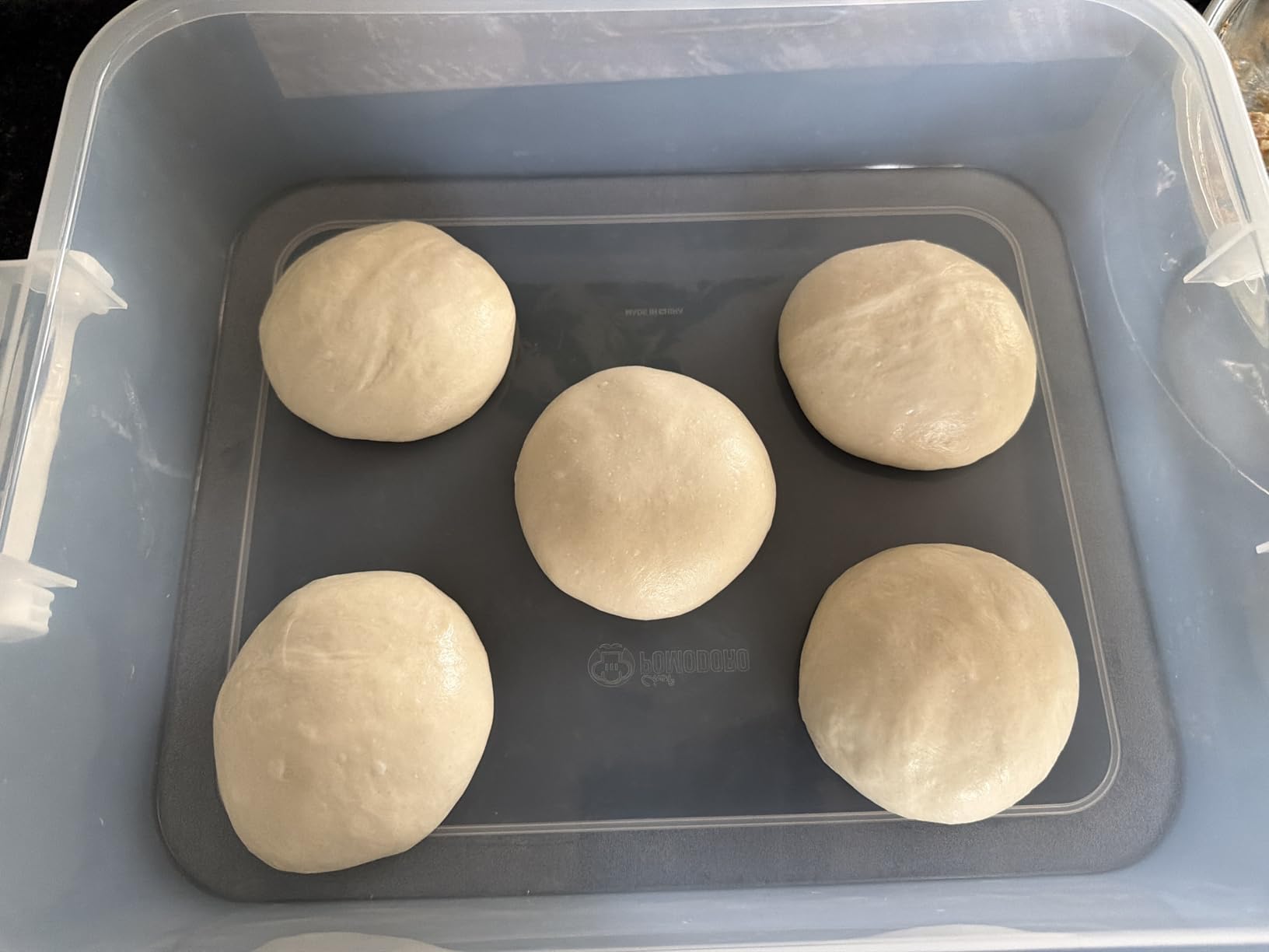 Chef Pomodoro Dough Proofing Box 14x11-In, 4-6 Proofing Balls, Blue 2-Pack | Household Pizza and Bread Dough Preparation Container With Lid customer photo 2