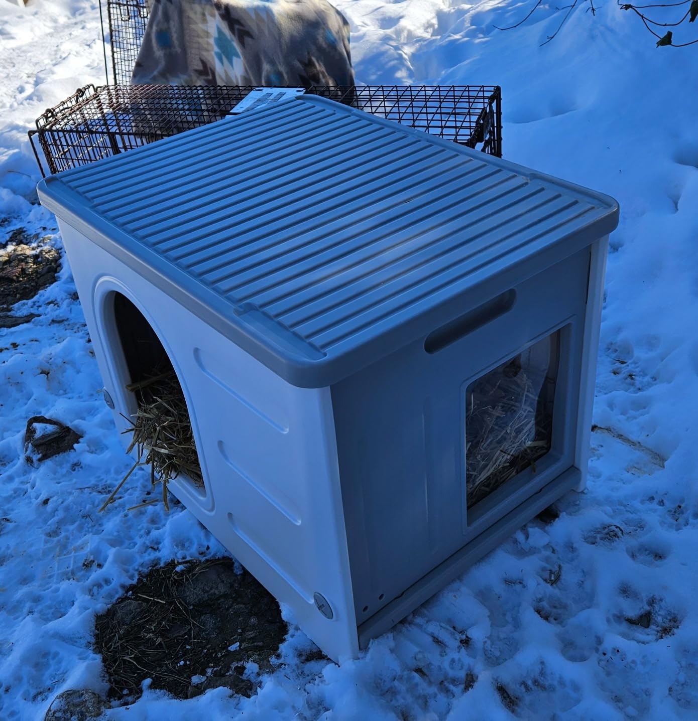 Rabbit Hutch Indoor & Outdoor with Extended Play Area, Plastic Rabbit Hutch with Sloped Roof Drainage, Panoramic Windows, Urine Barrier & Pull-Out Tray, Rabbit Cage with Run Easy to Clean and Assemble customer photo 1