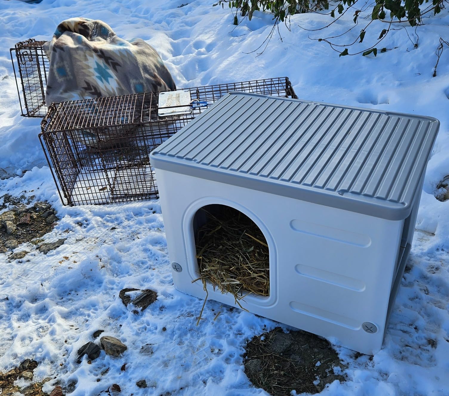 Rabbit Hutch Indoor & Outdoor with Extended Play Area, Plastic Rabbit Hutch with Sloped Roof Drainage, Panoramic Windows, Urine Barrier & Pull-Out Tray, Rabbit Cage with Run Easy to Clean and Assemble customer photo 2