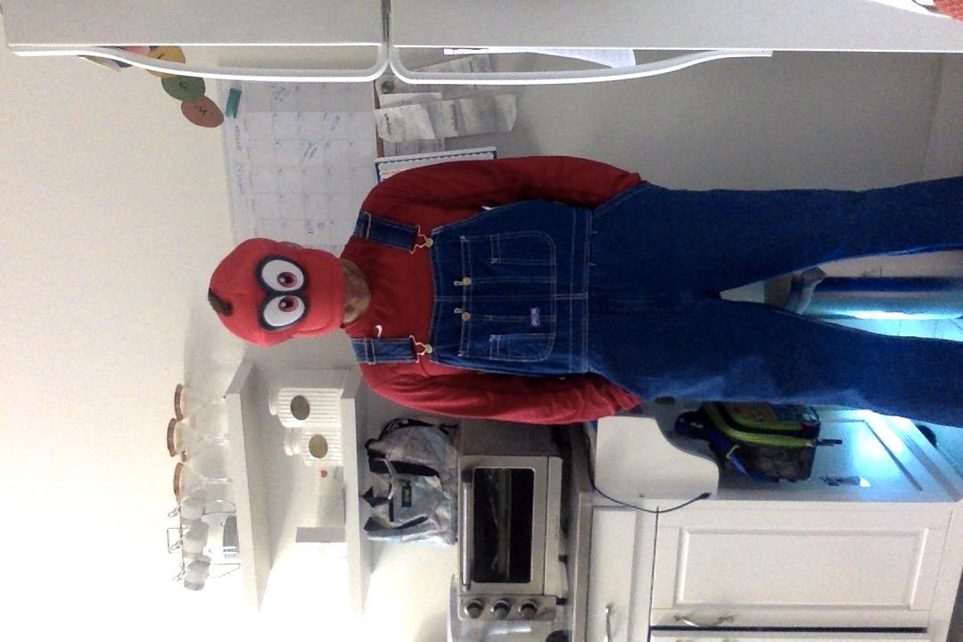 Big Smith Men's Stonewashed Bib Overall customer photo 2