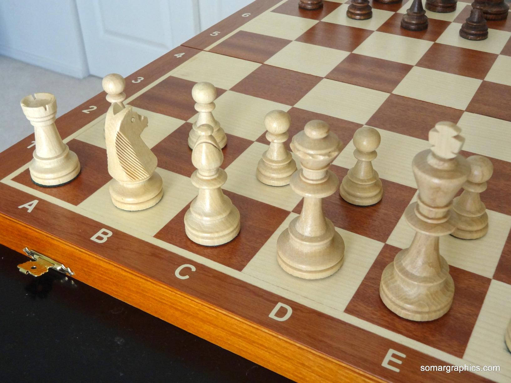 Wegiel Handmade European Professional Tournament Chess Set - Wooden 21 Inch Folding Board with Felt Base & Hand Carved Chess Pieces - Compartment Inside The Board to Store Each Piece customer photo 2