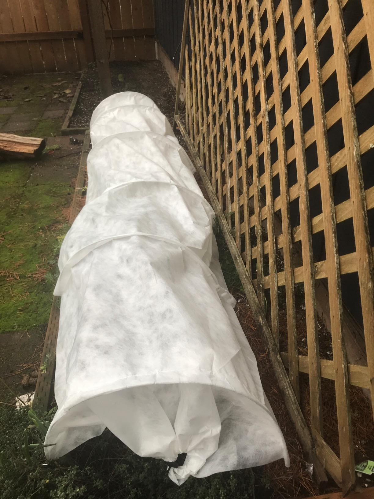 Tierra Garden 50-5060 Haxnicks Easy Fleece Tunnel Garden Cloche, Cover and Protect Plants from Harsh Weather, Animals, and Pests, Fleece Dome for Your Garden customer photo 2