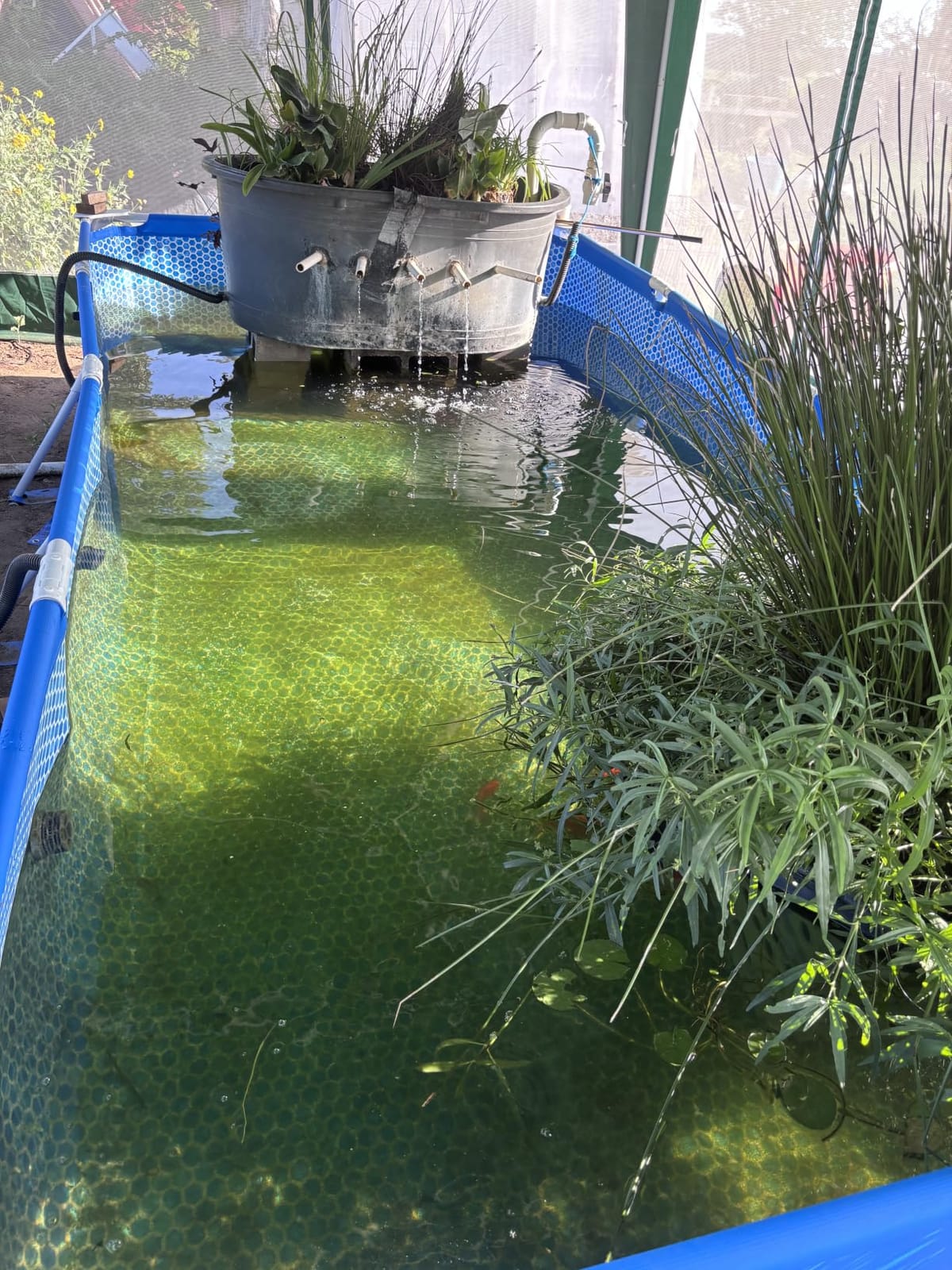 INTEX Metal Frame 9ft 10in x 6ft 6.75in x 29.5in Above Ground Swimming Pool customer photo 1