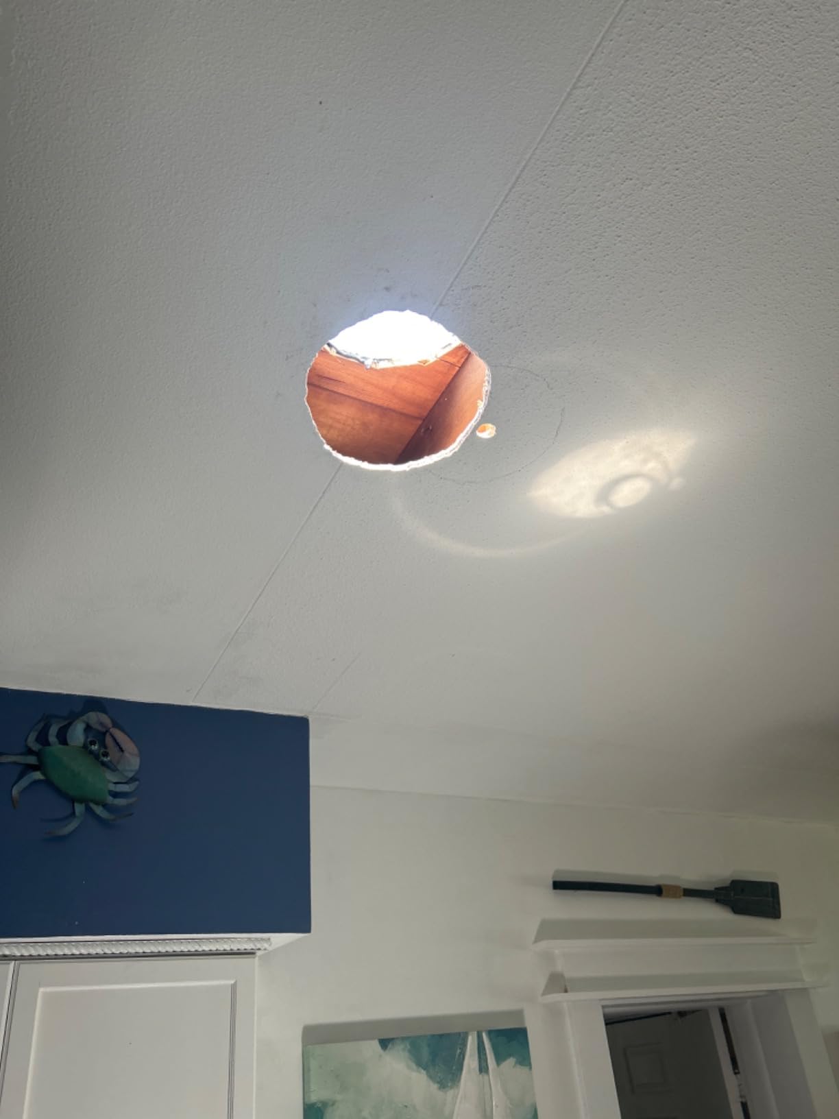 VELUX TMR 010 0000 Sun Tunnel, 10