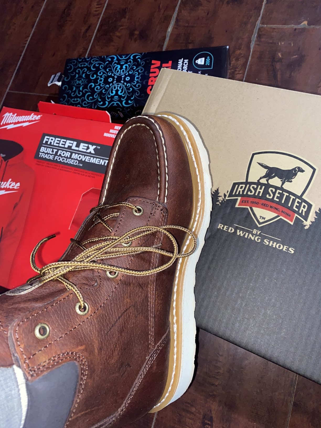 Irish Setter Ashby 6