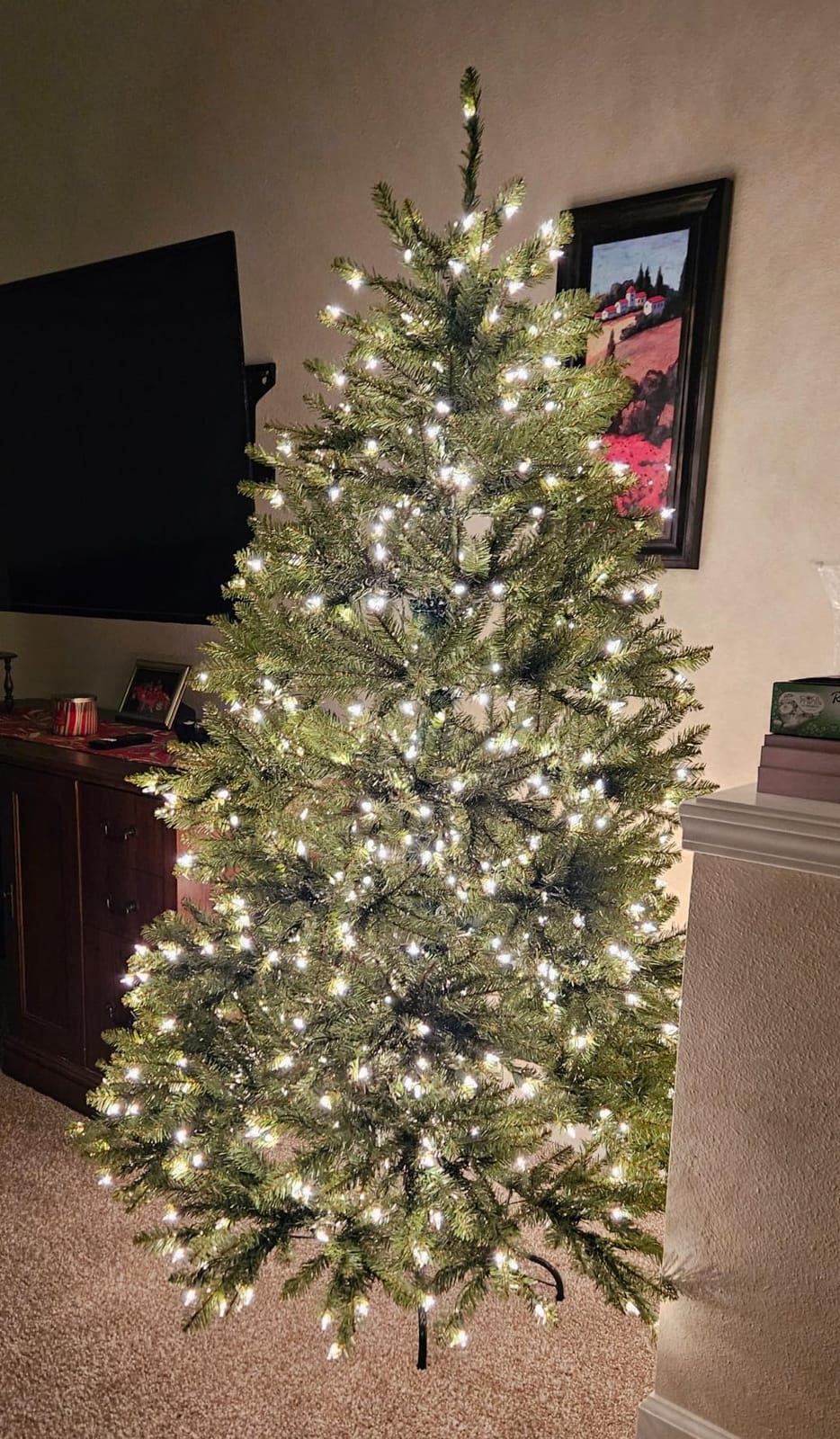 National Tree Company 9ft Pre-Lit Dunhill Fir Artificial Christmas Tree | 900 Clear Lights, 4,026 Tips, Includes Stand, Green customer photo 2