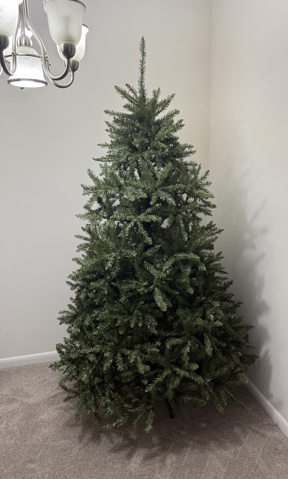 National Tree Company 9ft Unlit Dunhill Fir Full Artificial Christmas Tree | 4,026 Tips, Includes Stand, Green customer photo 1