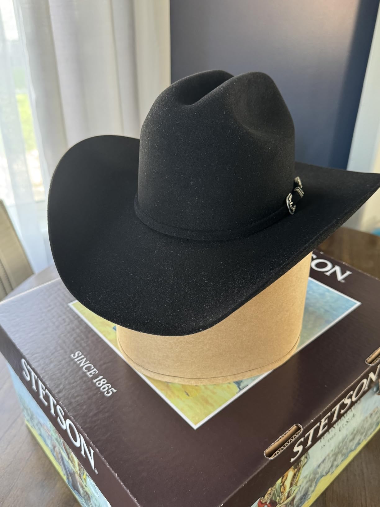 Stetson 7540 Skyline 6X Fur Cowboy Hat customer photo 2