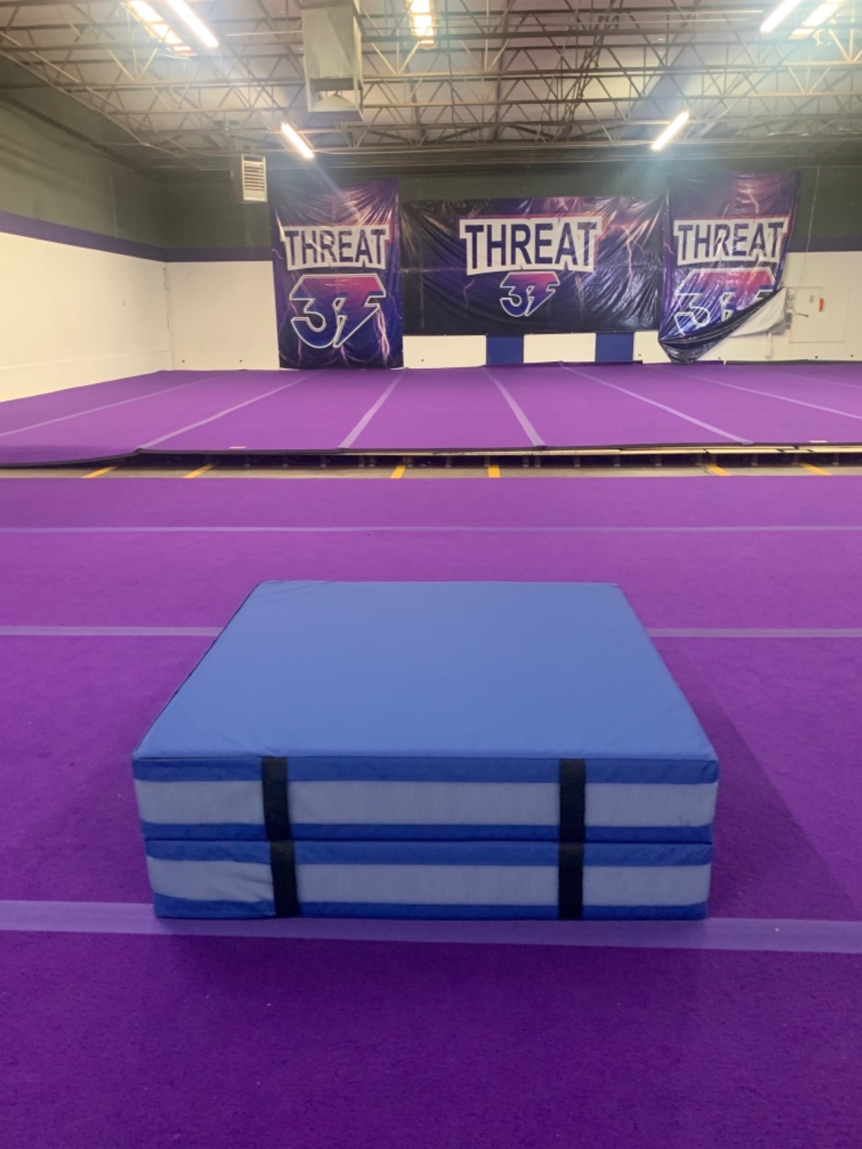 We Sell Mats Bifolding Gymnastics Crash Landing Mat Pad, Safety for Tumbling, Back Handspring Training and Cheerleading customer photo 2