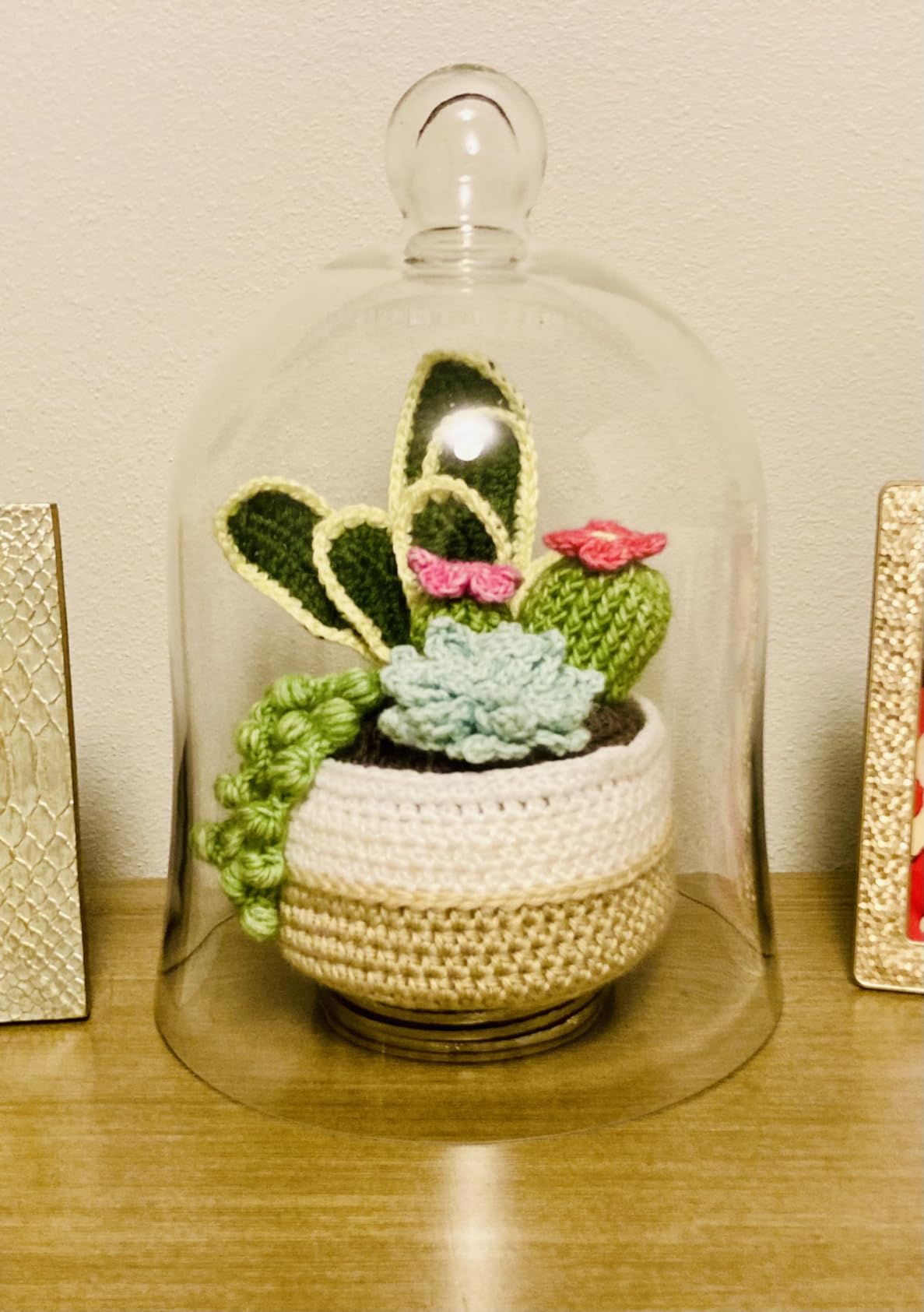CYS EXCEL Glass Bell Dome Cloche (H:16