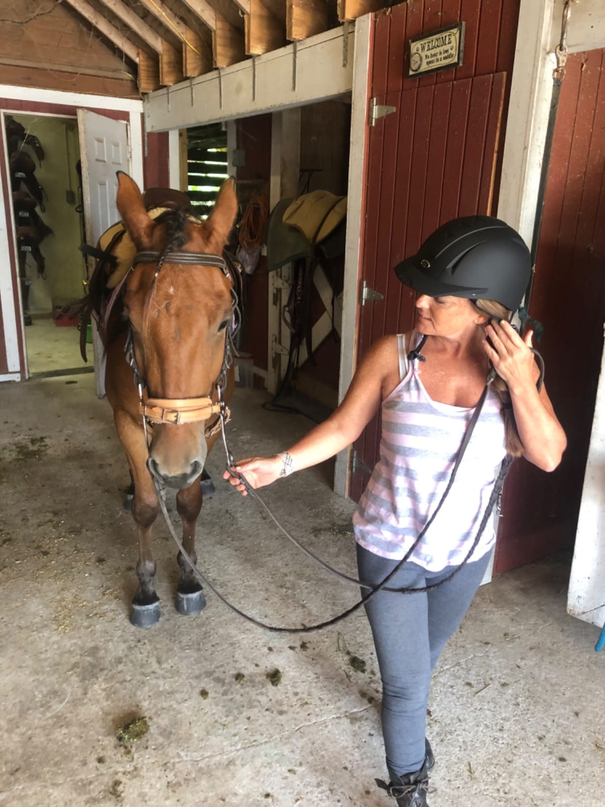 IRH Equi-Pro II Deluxe Adult Schooling Helmet customer photo 1