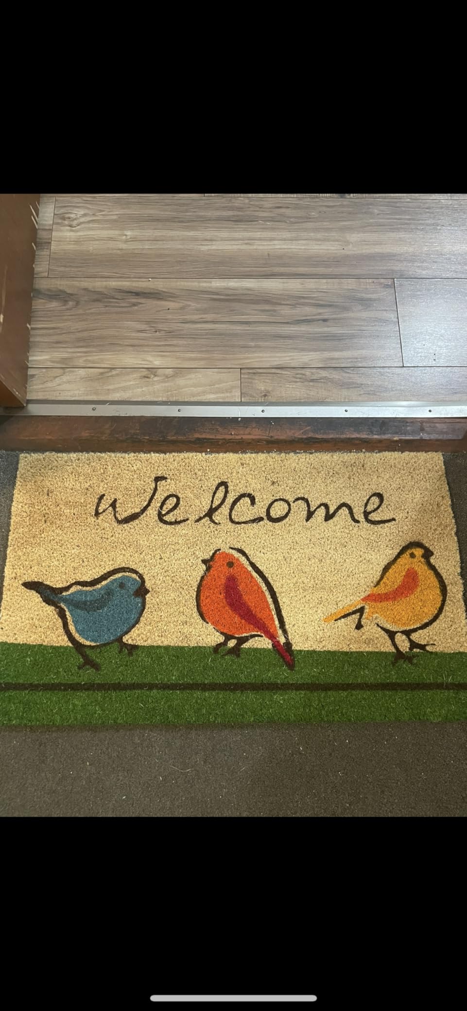 DII Natural Coir Doormat Outdoor Welcome Mat, 17x29, for The Birds customer photo 1