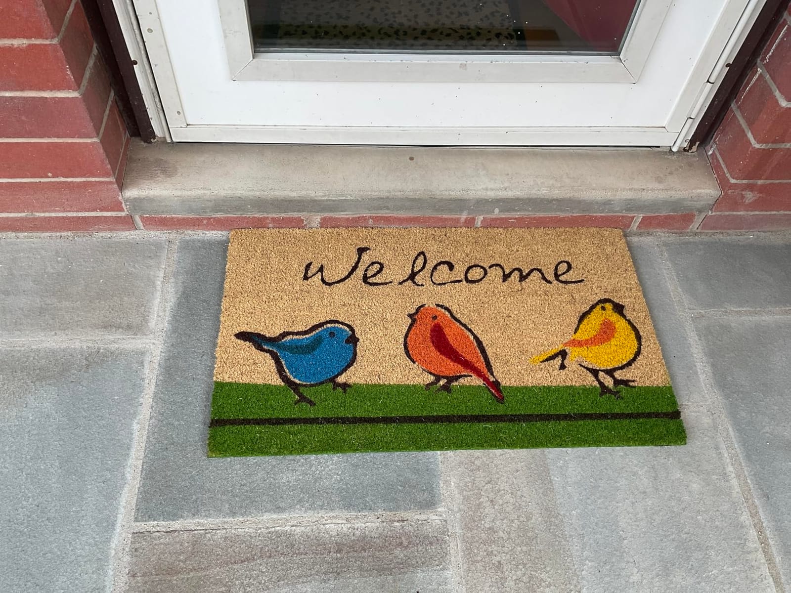 DII Natural Coir Doormat Outdoor Welcome Mat, 17x29, for The Birds customer photo 2