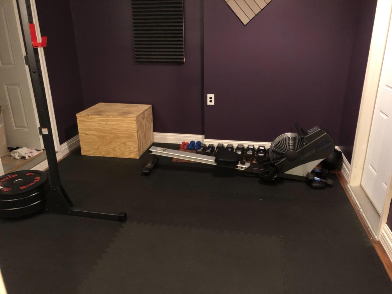 Stamina ATS Air Rower, Grey - Smart Workout App, No Subscription Required - Foldable Rowing Machine for Home Use customer photo 2