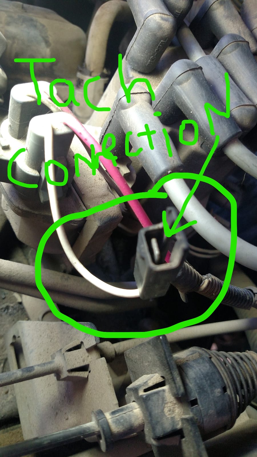 BOSCH SP0F000025 Sport II 2-5/8
