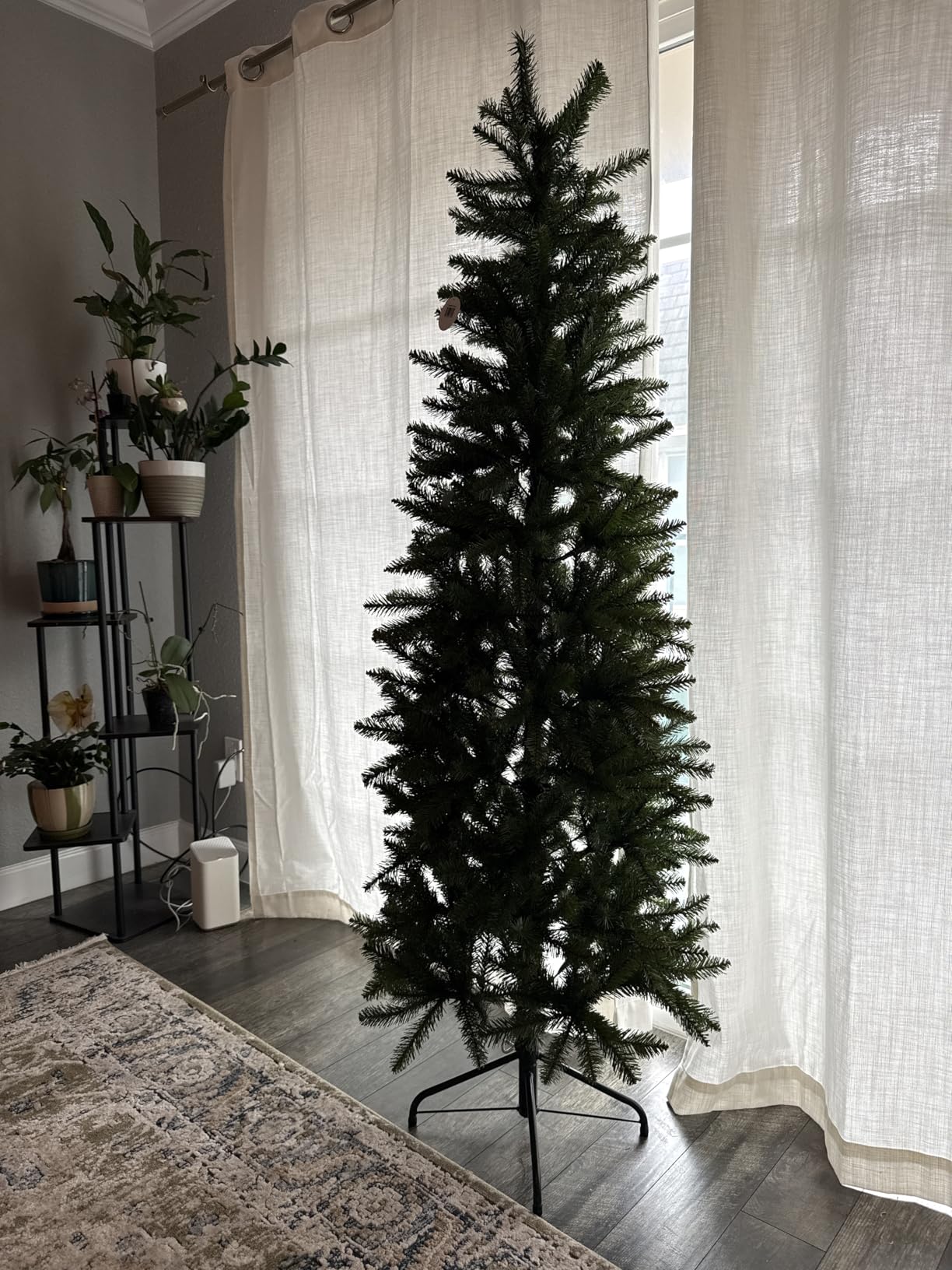 National Tree Company 6ft Unlit Kingswood Fir Slim Christmas Tree | 629 Tips, Includes Stand, Artificial, Green customer photo 1