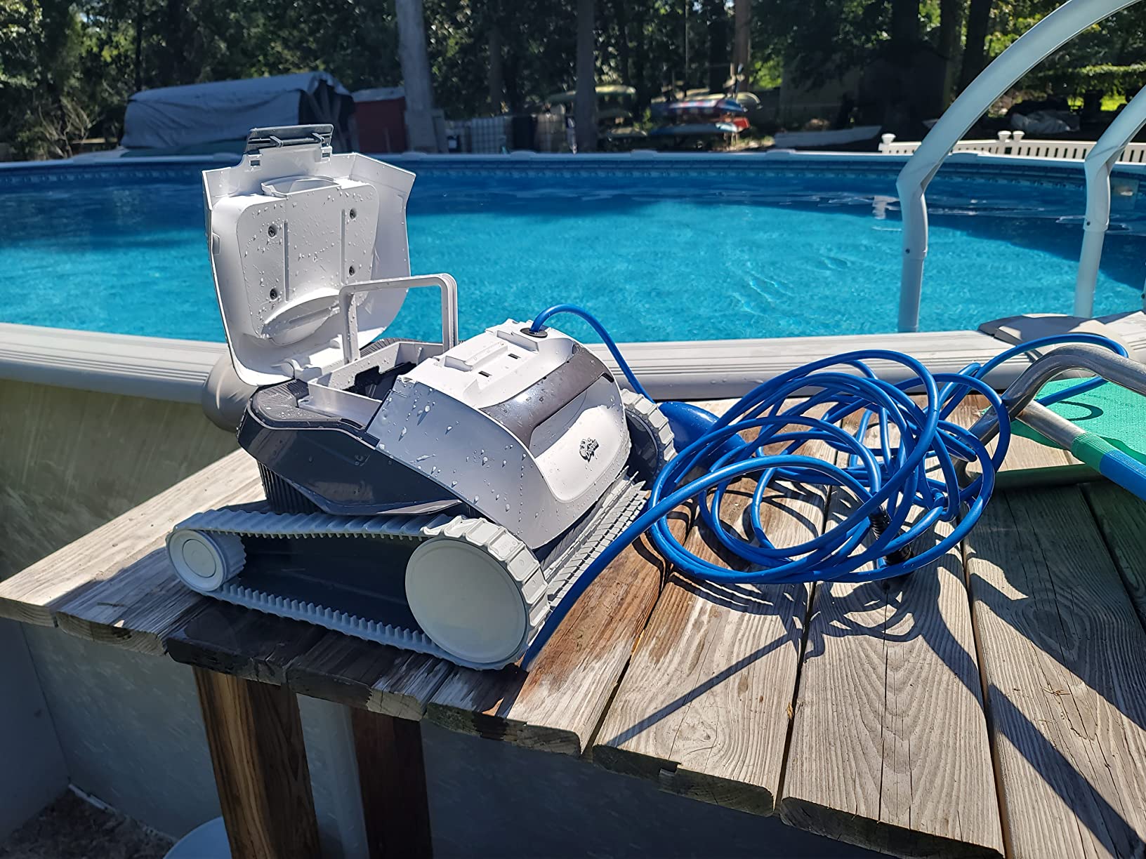 Dolphin (2026 Model) Nautilus AG Automatic Robotic Pool Vacuum Cleaner, Active Scrubber Brush, Top Load Filters Access, Ideal for Above-Ground Pools up to 33 FT in Length customer photo 1